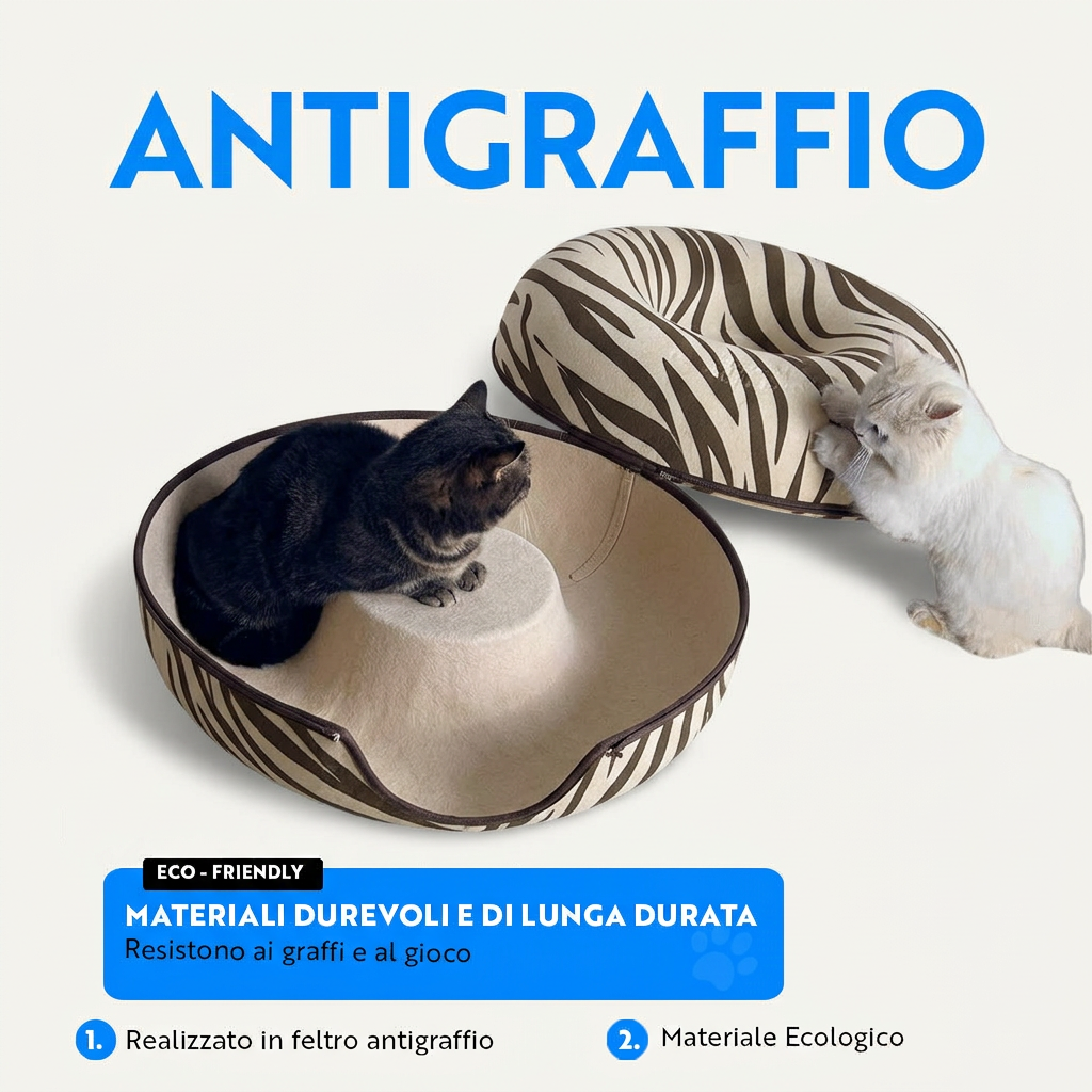 Gatolandia x Camillo