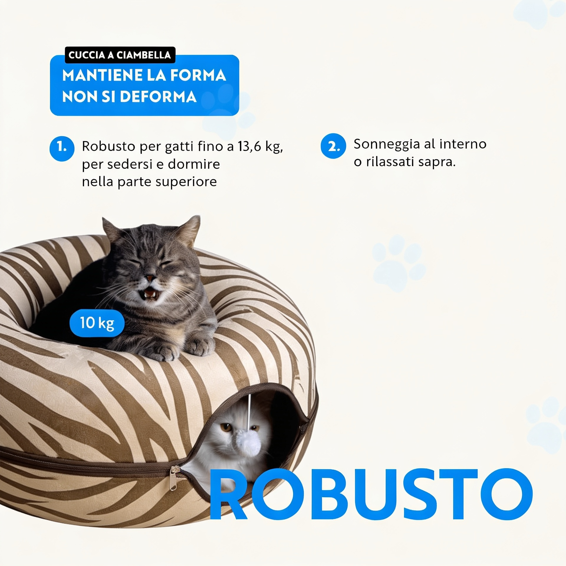 Gatolandia x Camillo