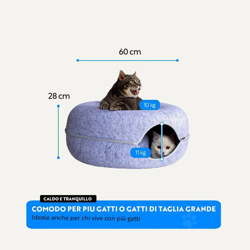 Ciambellone Gatolandia 3 in 1 + Kit completo
