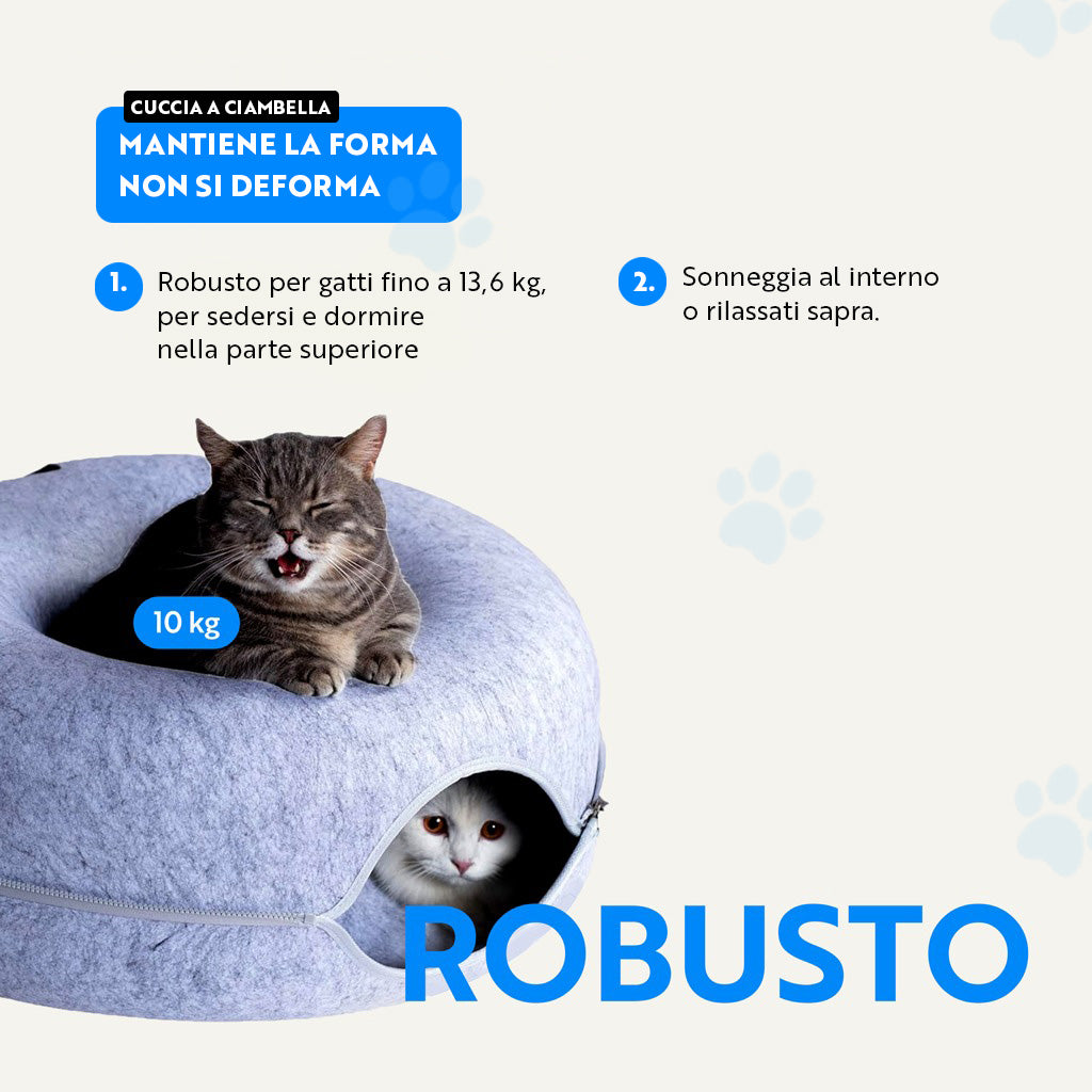 Ciambellone Gatolandia + Kit Gratuito