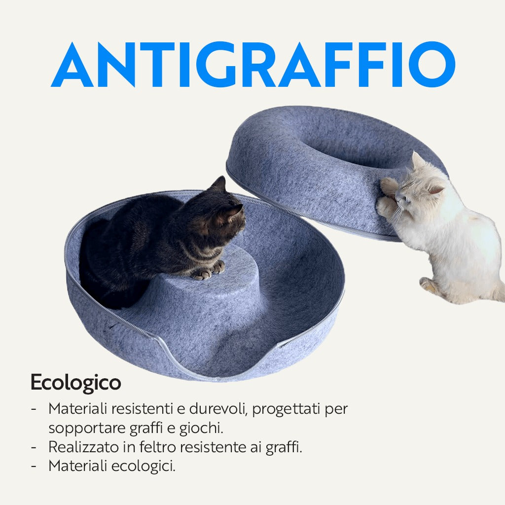 (Testing Ciambellone)