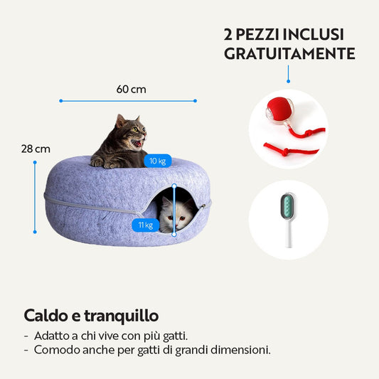 (Testing Ciambellone)