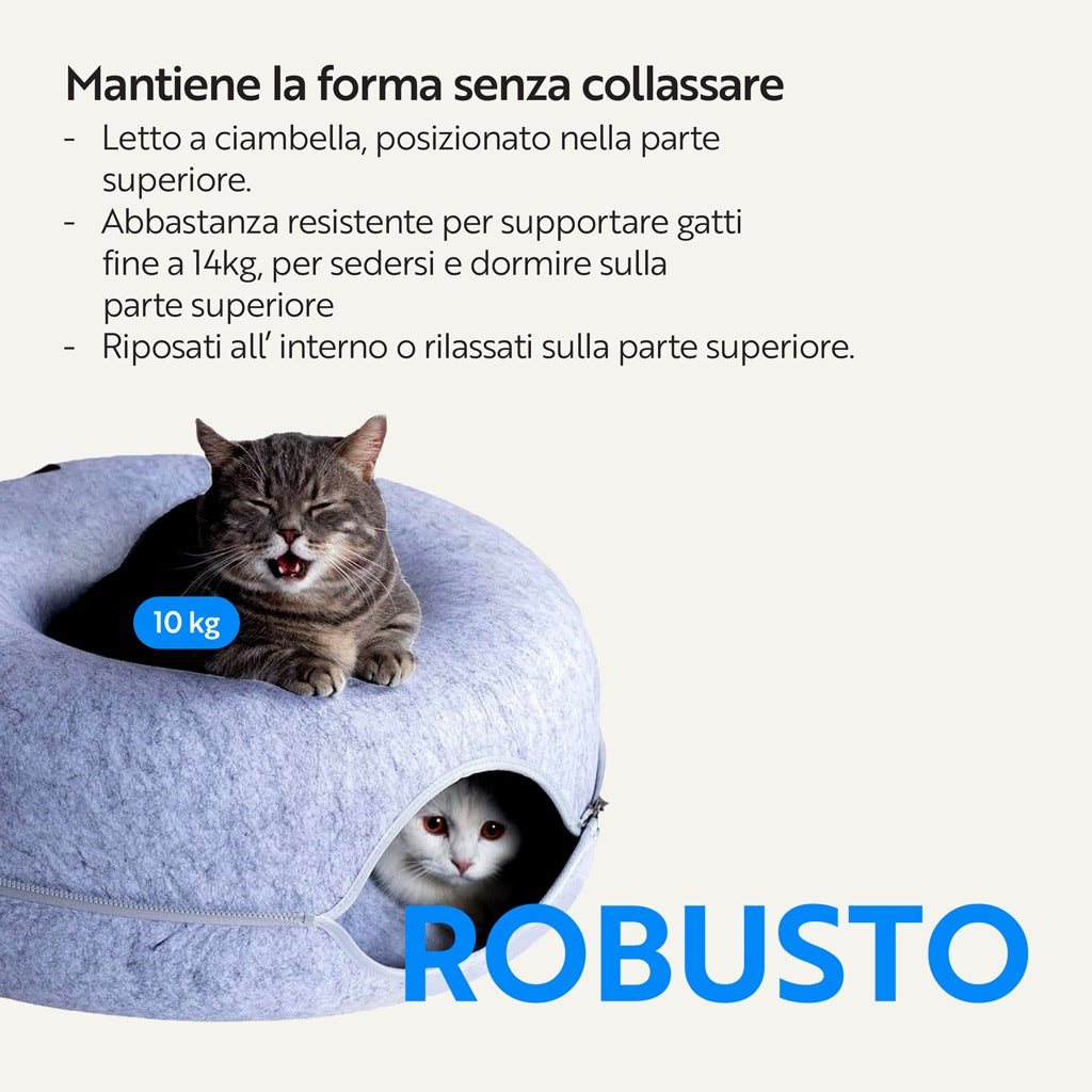 (Testing Ciambellone)