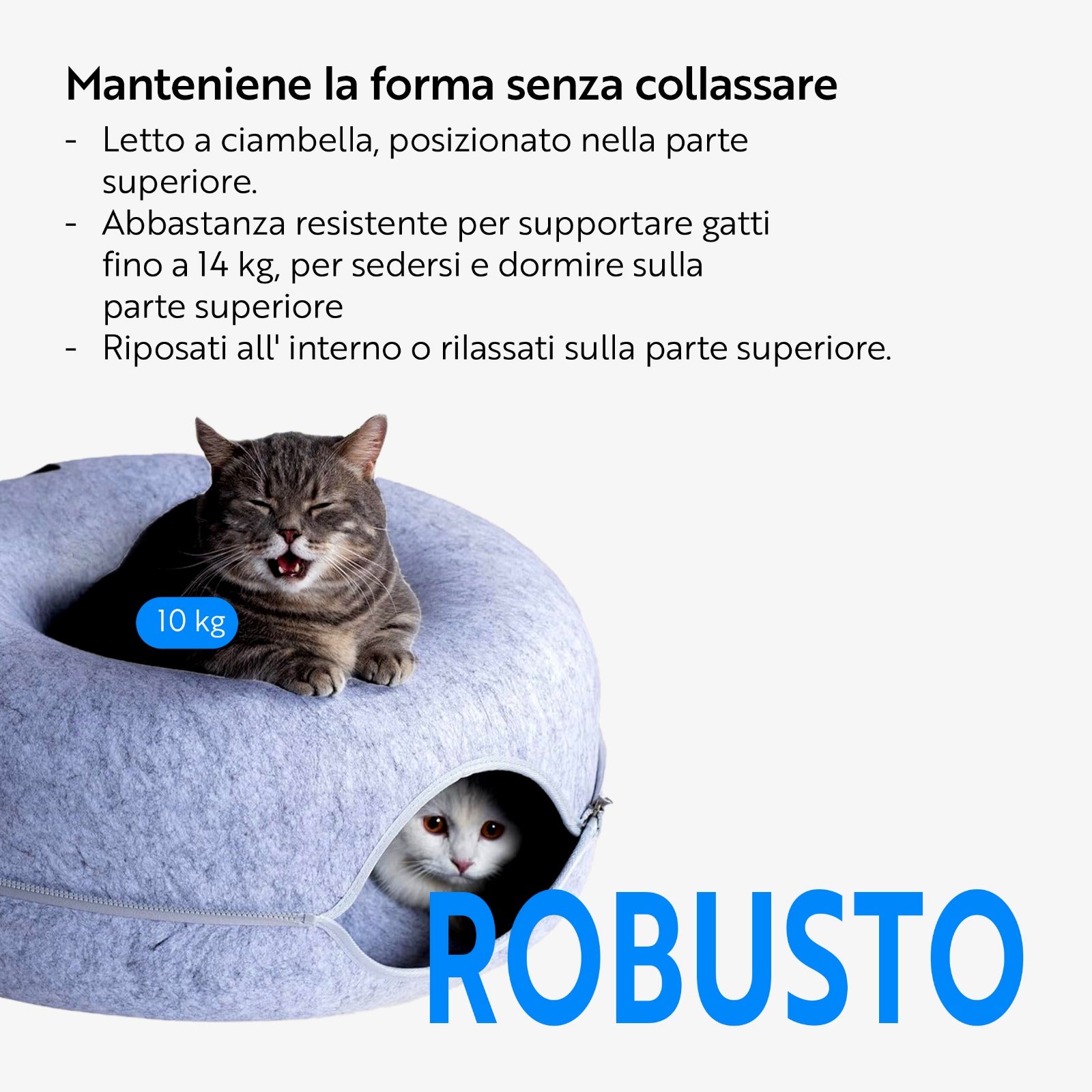 Ciambellone Gatolandia
