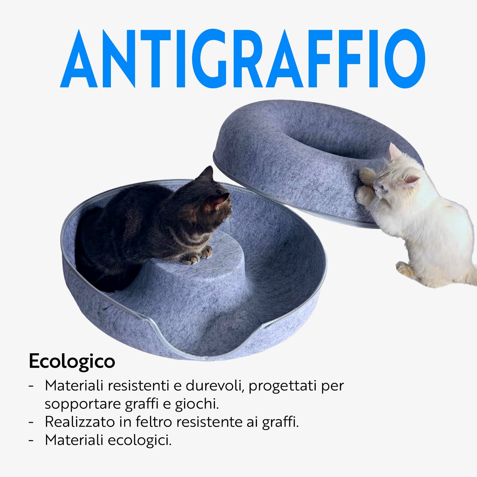 Ciambellone Gatolandia