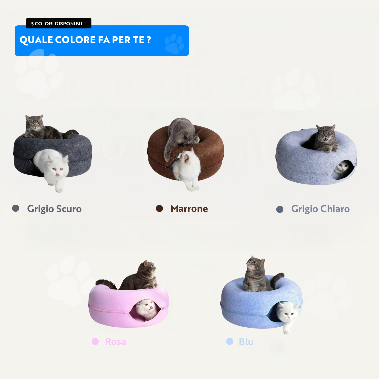 Ciambellone Gatolandia + Kit Gratuito