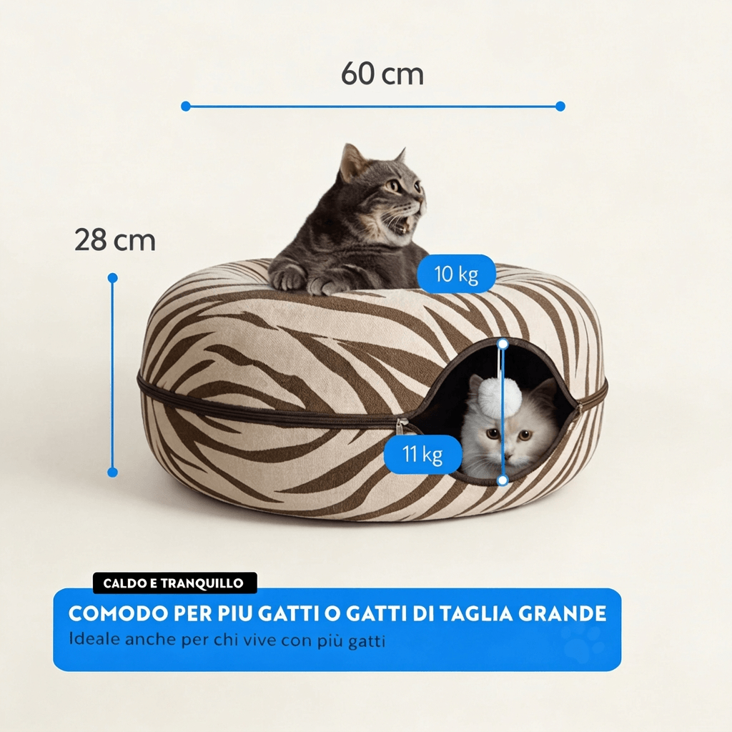 Gatolandia x Camillo